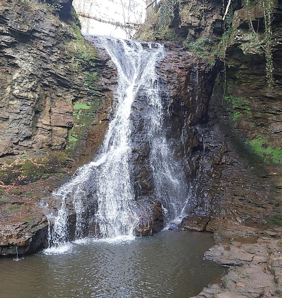 Hareshaw Linn